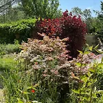 Le Clos Saint 5 Etoiles