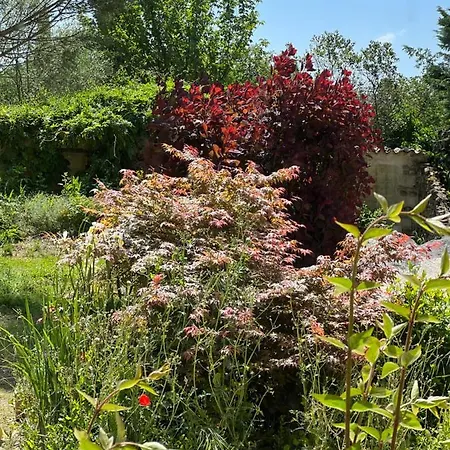 Le Clos Saint 5 Etoiles
