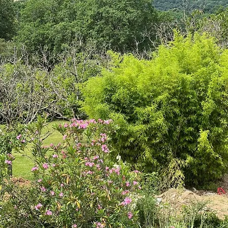 Le Clos Saint 5 Etoiles Domme