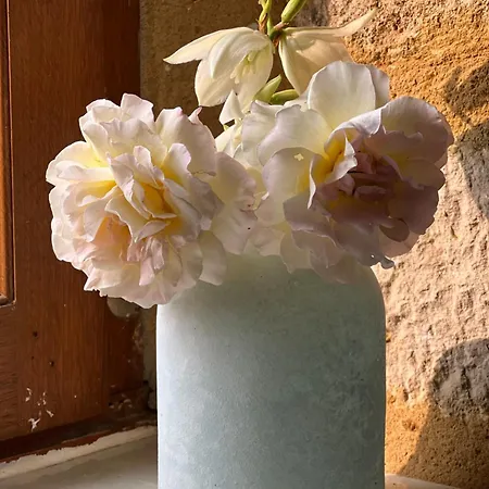 Le Clos Saint 5 Etoiles Villa