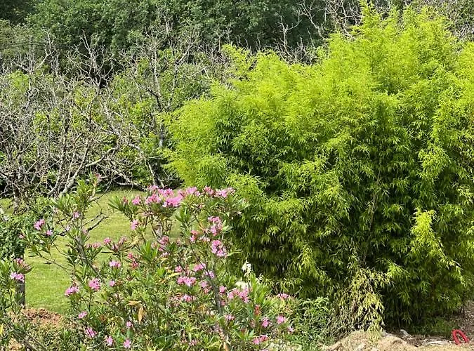 Le Clos Saint 5 Etoiles Domme