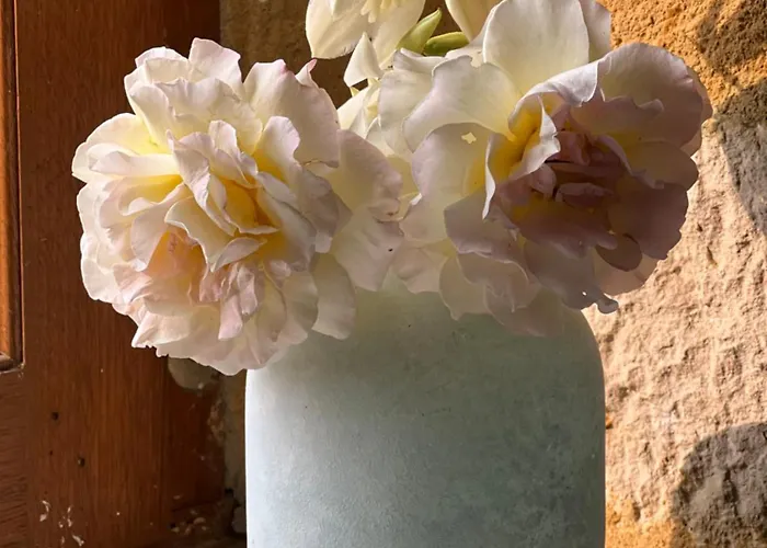 Le Clos Saint 5 Etoiles Villa