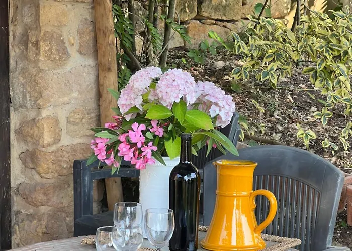 Le Clos Saint 5 Etoiles * Domme